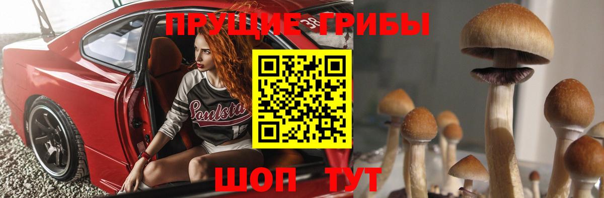 как найти закладки  Галлюциногенные грибы MAGIC MUSHROOMS  Вход с VPN  Кропоткин  Галлюциногенные грибы Psilocybine cubensis 